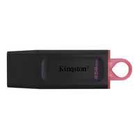256GB USB3.2 Gen1 DataTraveler Exodia (Black + Pin