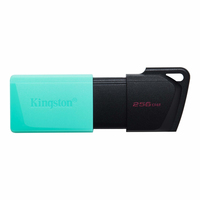256GB USB3.2 GEN1 DataTraveler Exodia M (Black + T