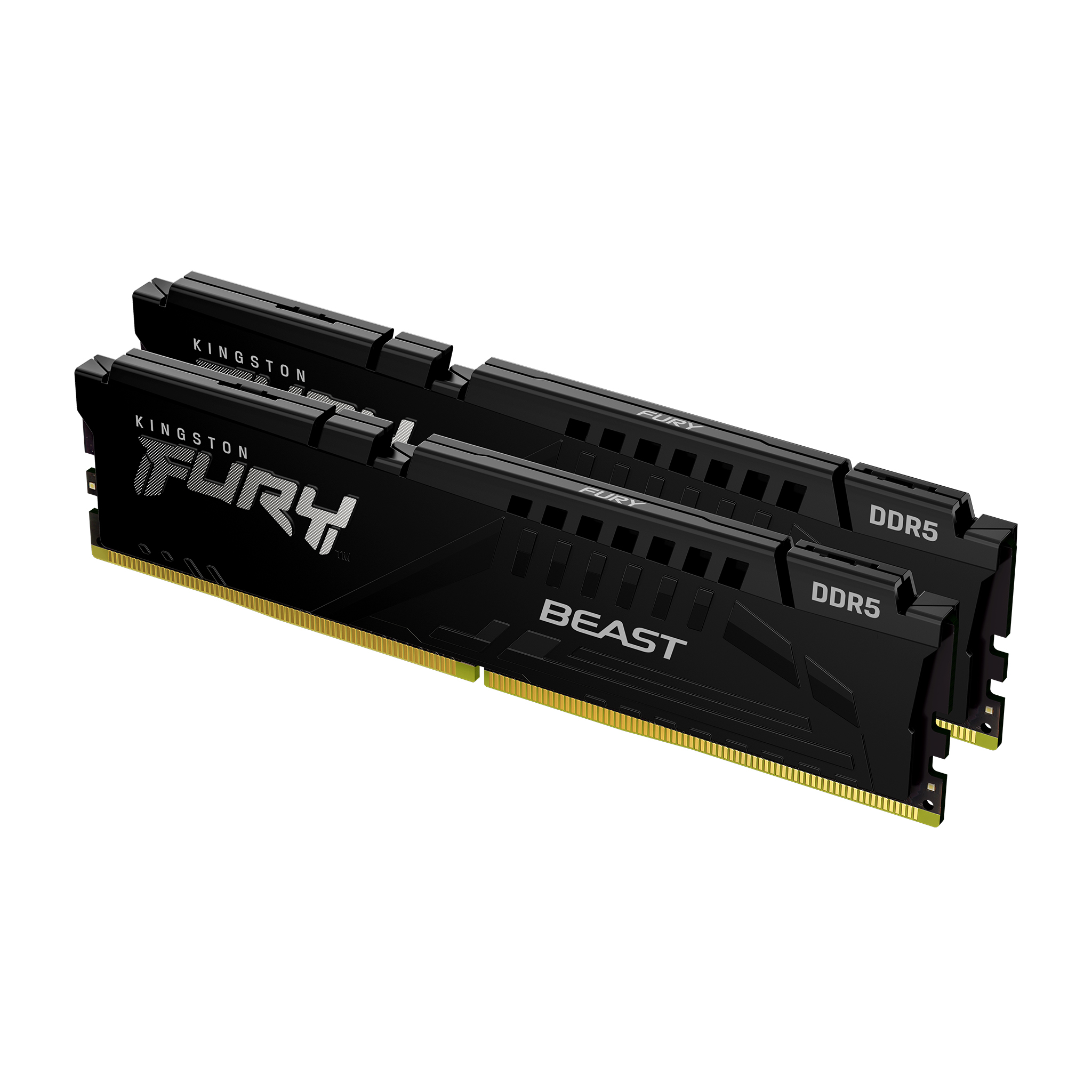 16GB 5600MT/s DDR5 CL36 DIMM (Kit of 2) FURY Beast Black EXPO 