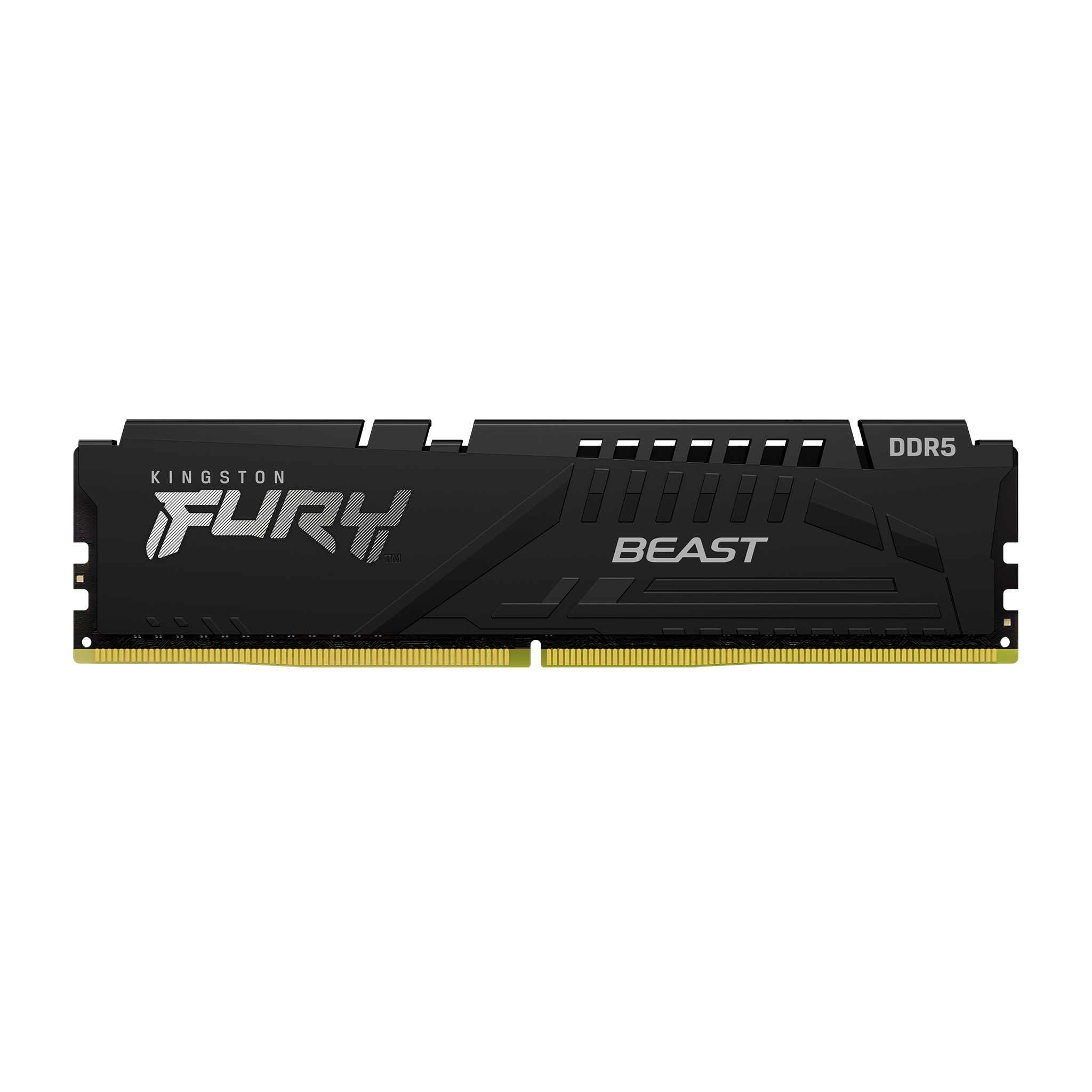 8GB 5600MT/s DDR5 CL36 DIMM FURY Beast Black EXPO 
