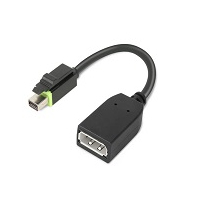 Mini-DisplayPort  to DisplayPort Adapter 